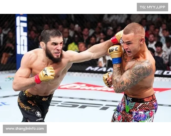 马哈切夫16连胜历程，从达吉斯坦到世界巅峰